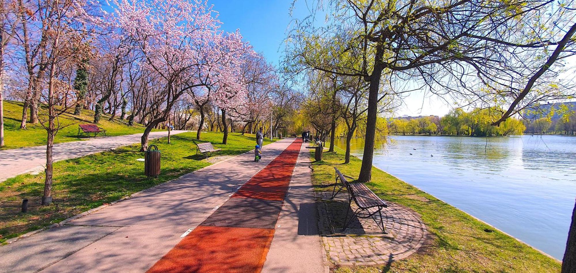 City Break Park Studio Bukurešť Exteriér fotografie